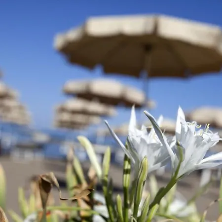 Apartment La Rotonda Sul Mare - Bilocale 3 Posti
